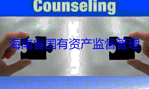 委副书记王查调查有福接受审资产监督管理委员会党海南省国有
